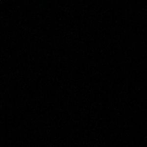 Meet your Posher, Rose